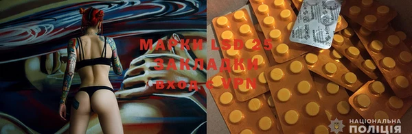 гидропоника Алзамай