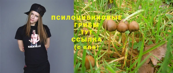 гидропоника Алзамай