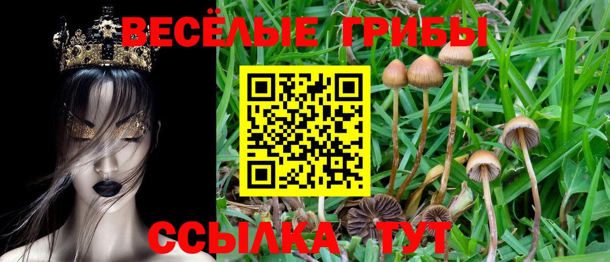 Галлюциногенные грибы Cubensis  Вход с VPN  Балашов  Псилоцибиновые грибы Magic Shrooms 